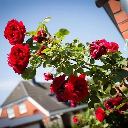 Hausteil 4 Muschelhus Id 267 Dom wakacyjny Sankt Peter-Ording